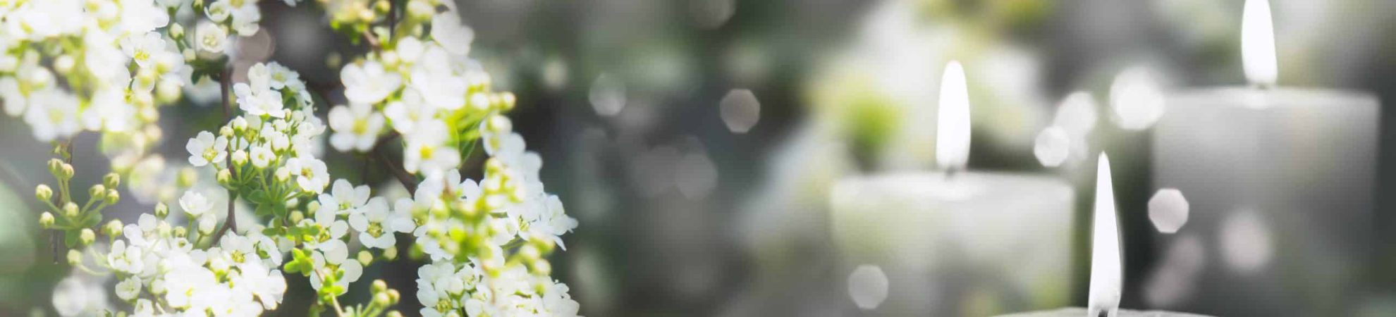 white flowering branch and 3 white candle lights outside in a garden, floral concept with burning candles decoration for contemplative athmosphere background